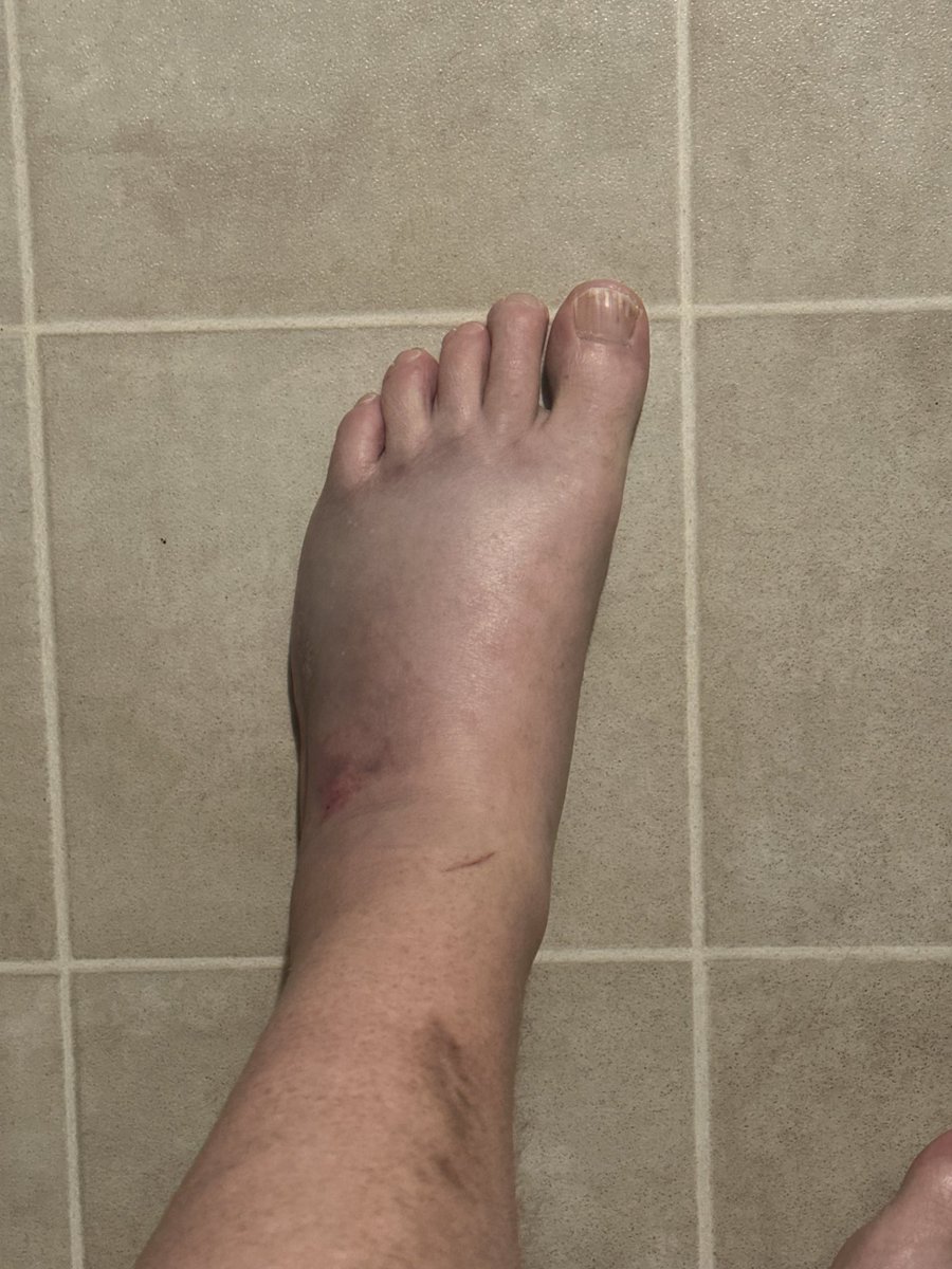 Bryan DeHenau🇺🇸🇺🇦 tweet media