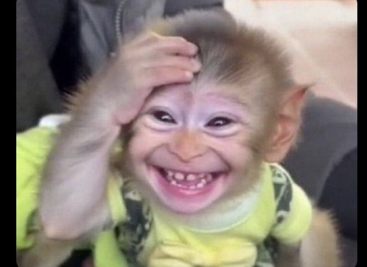 Somy Eva tweet media