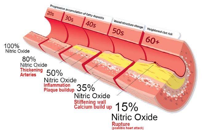Human Upgrade tweet media