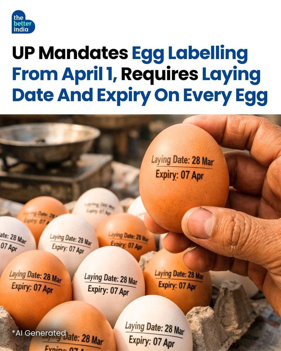Do you really know how fresh your eggs are?

Starting April 1, the Uttar Pradesh government has made it mandatory for every egg to carry its laying date and expiry date, bringing much-needed transparency to something we consume almost daily.

If sellers fail to comply, the eggs