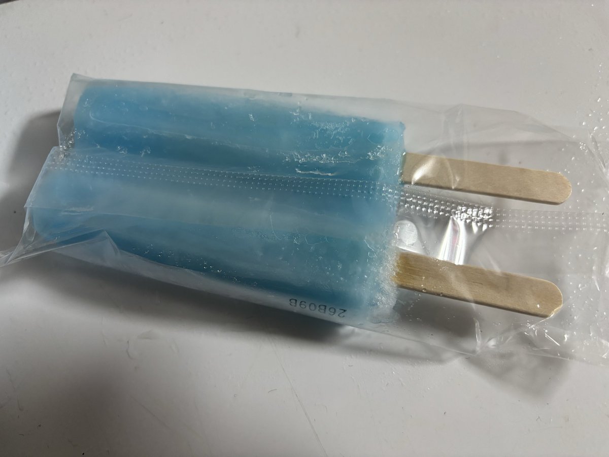 ムラマサ白猫大好き！ tweet media