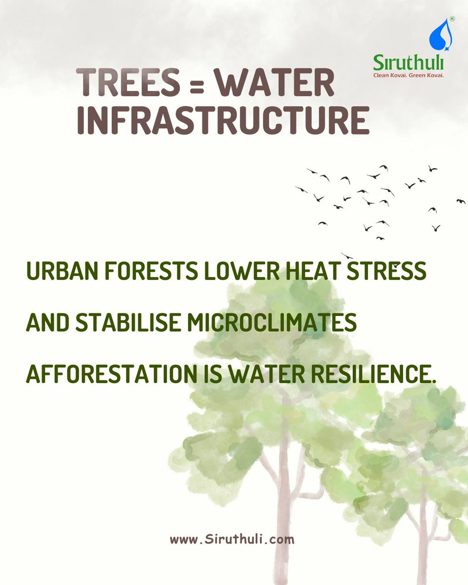 When we plant and protect native trees, we are not only increasing green cover.

We are improving infiltration, stabilising soil and strengthening groundwater recharge.

In a seasonal basin like the Noyyal, trees are part of the storage system.

Next: The hidden water impact of