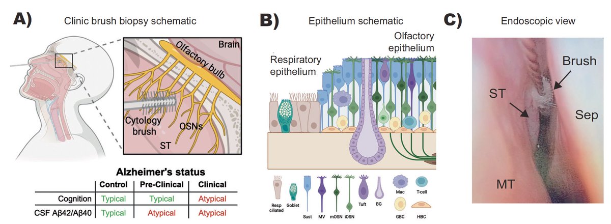 Brad Goldstein tweet media