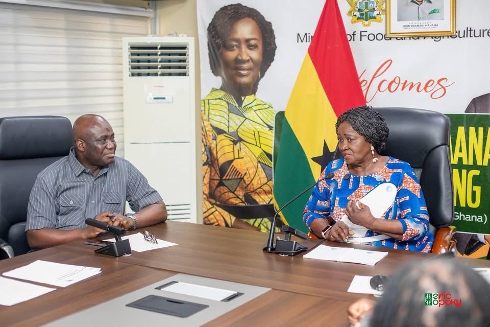 Hon. Eric Opoku MP tweet media