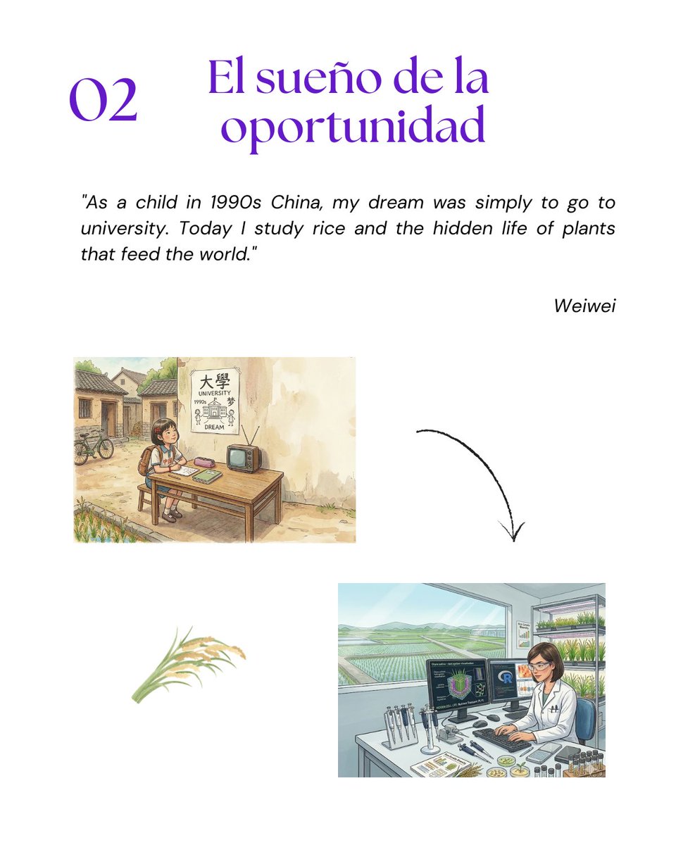 IRNAS Sevilla tweet media