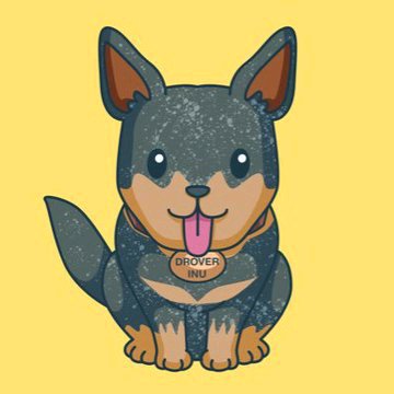 DROVER INU tweet media