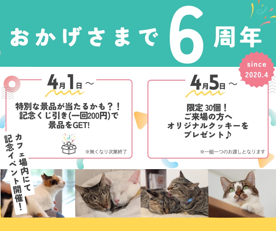 ＼6周年を記念してイベント開催✨／ 

【第１弾❣️はずれなし！記念くじ引き】
🗓️4月1日(水)～ ※無くなり次第終了
💰️1回200円　（何度でもOK）

オリジナルグッズや
ボランティアさん手作りの可愛い小物など😻

なんと！はずれなしで必ず景品が当たります
中には２つしかない豪華景品も✨