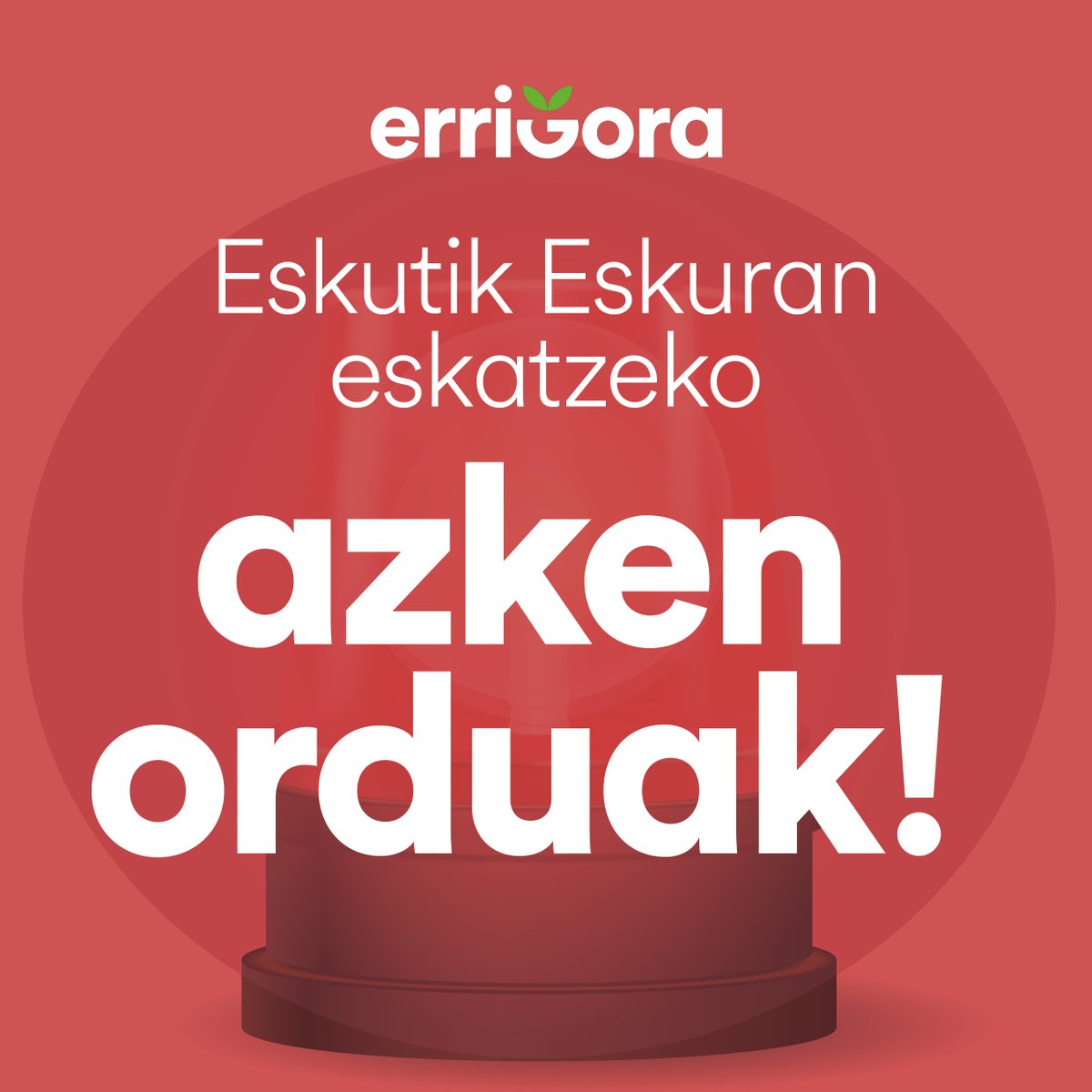 ERRIGORA tweet media