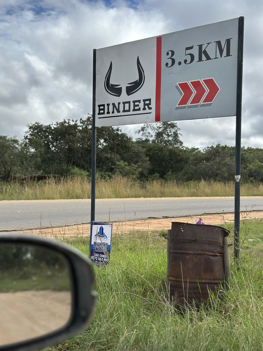 Anesu Mapisa tweet media