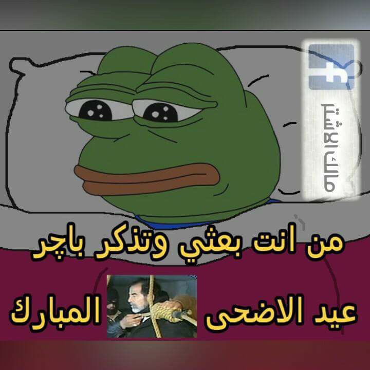 ahmed almandalawy tweet media