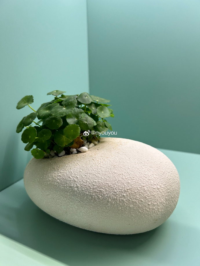 Alwara Crane tweet media