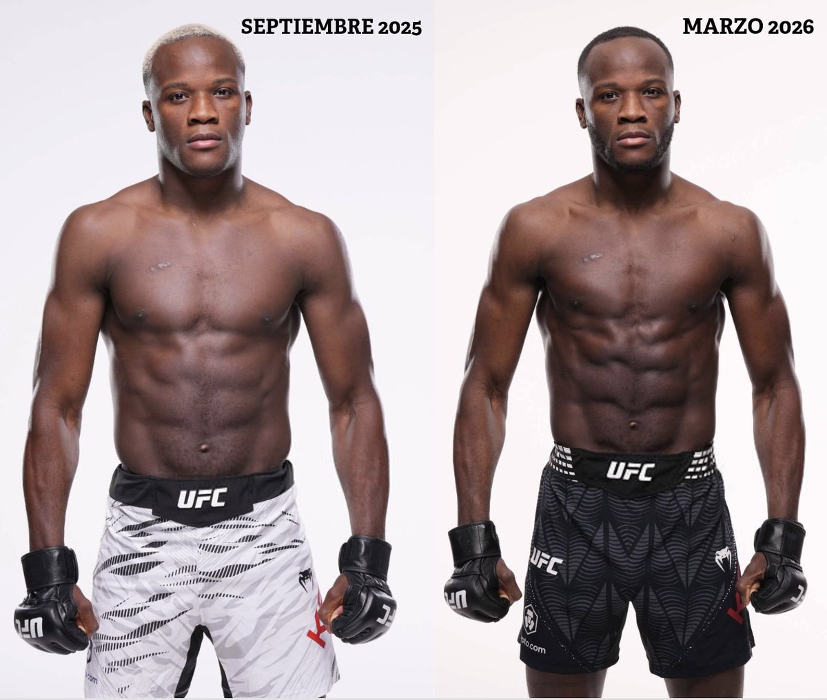 Pelunaton tweet media