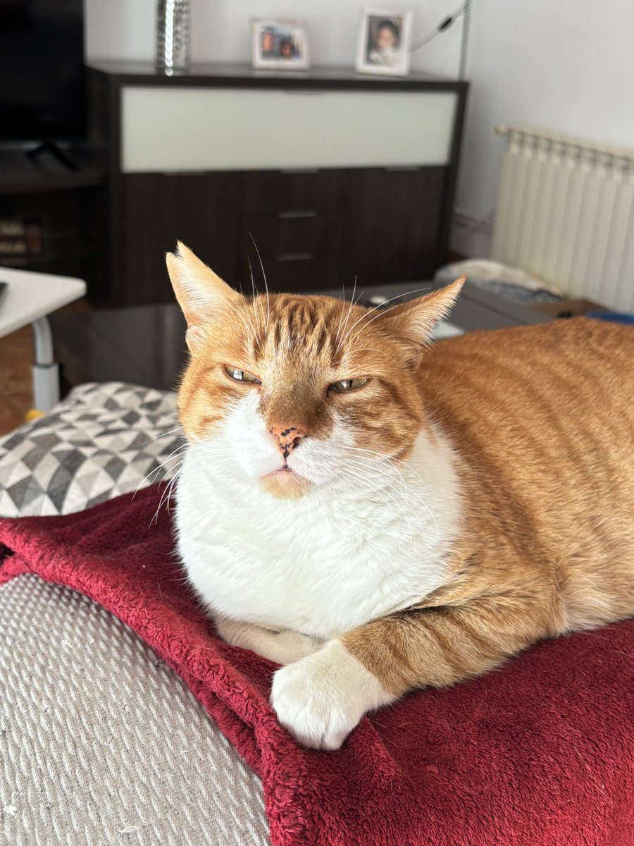 ❦ 𝑳𝒖𝒍𝒖𝒘𝒖 ❦ tweet media