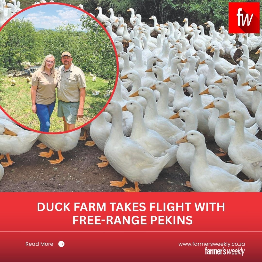 Farmer's Weekly tweet media