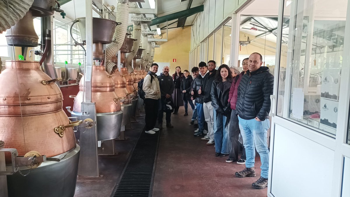 IES Zapatón tweet media