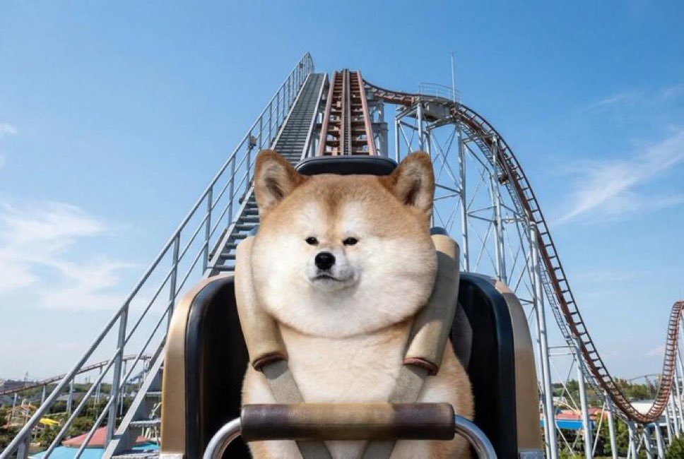 Joe Trades tweet media