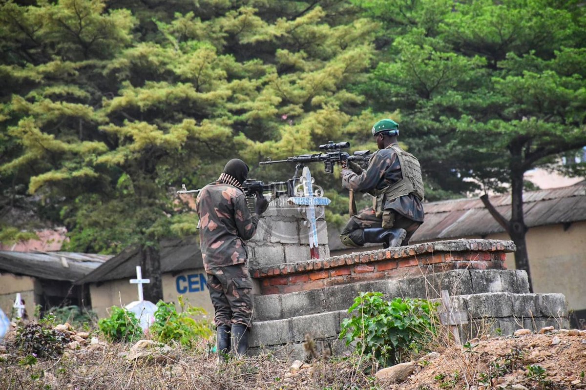 Reporter.cd tweet media