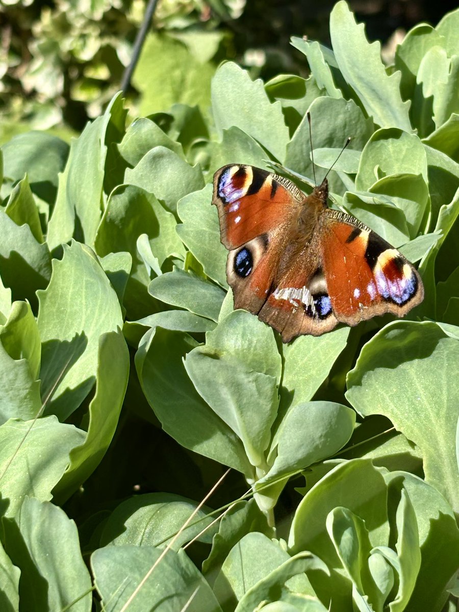 Thames Weather ❄️ tweet media