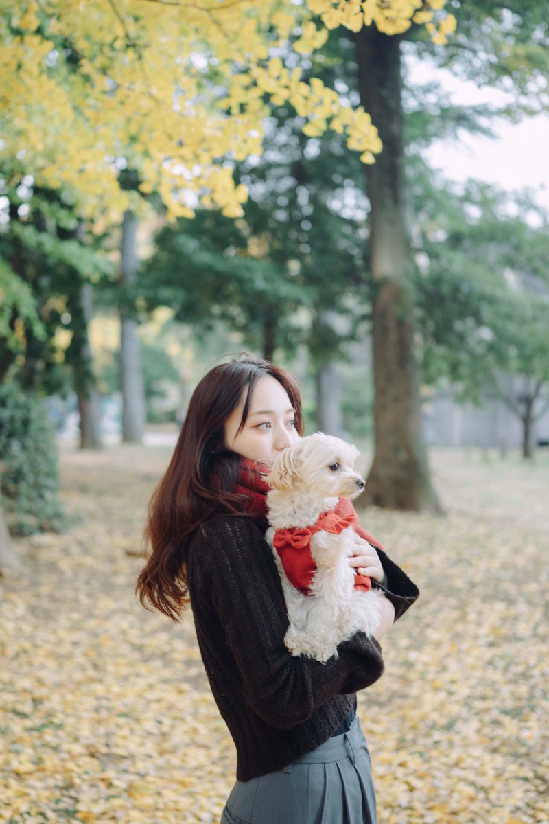 y_watanabe tweet media