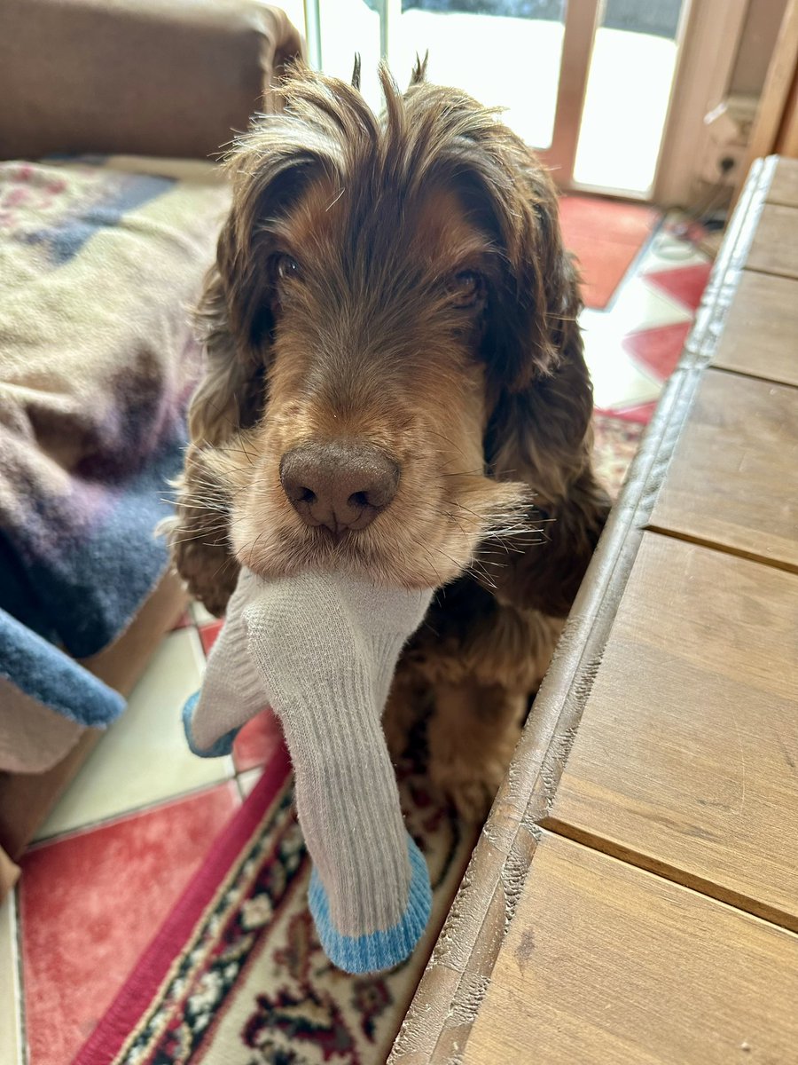 RobertLeCocker tweet media