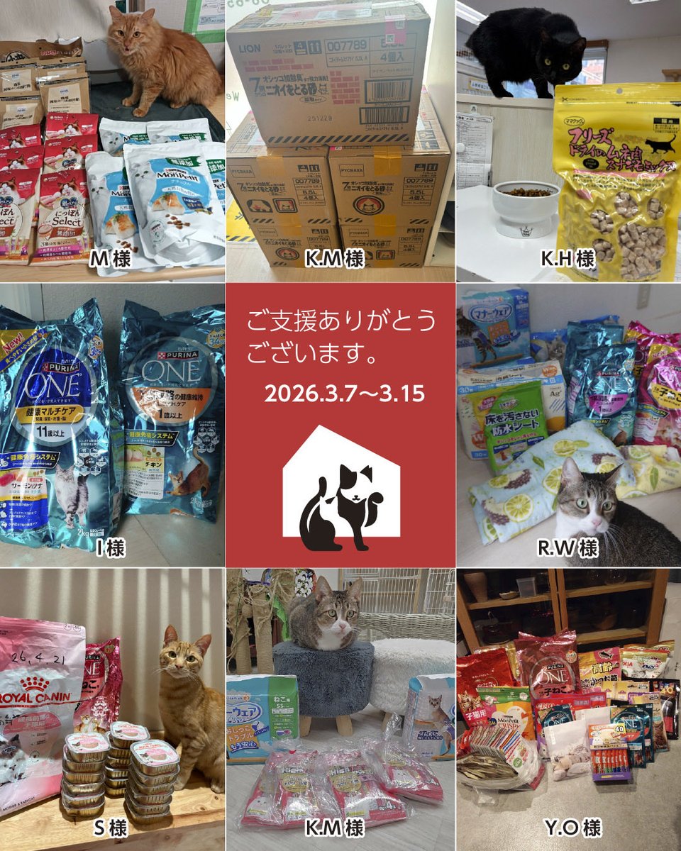 CWelcare's tweet photo. 🐾いつも応援ありがとうございます🐾

このたびもたくさんのご支援物資を
お届けいただきました。

猫たちのために
大切に使わせていただきます。

あたたかいお気持ち、
本当にありがとうございます🐈

#CatsWelcare
#保護猫
#保護猫支援
#ありがとうございます https://t.co/pRM6yLAjY8