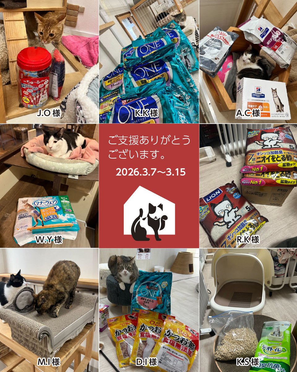 CWelcare's tweet photo. 🐾いつも応援ありがとうございます🐾

このたびもたくさんのご支援物資を
お届けいただきました。

猫たちのために
大切に使わせていただきます。

あたたかいお気持ち、
本当にありがとうございます🐈

#CatsWelcare
#保護猫
#保護猫支援
#ありがとうございます https://t.co/pRM6yLAjY8