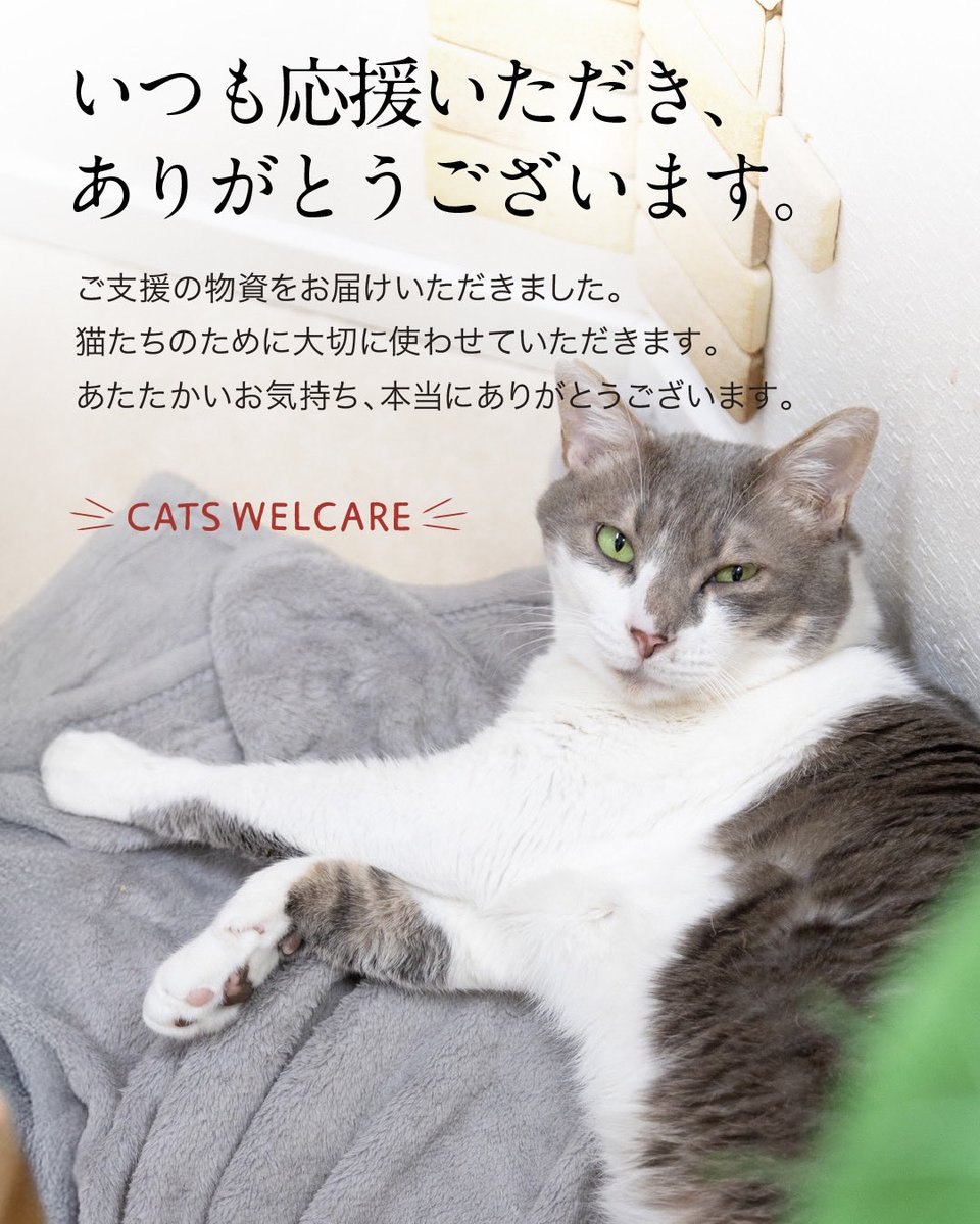 CWelcare's tweet photo. 🐾いつも応援ありがとうございます🐾

このたびもたくさんのご支援物資を
お届けいただきました。

猫たちのために
大切に使わせていただきます。

あたたかいお気持ち、
本当にありがとうございます🐈

#CatsWelcare
#保護猫
#保護猫支援
#ありがとうございます https://t.co/pRM6yLAjY8