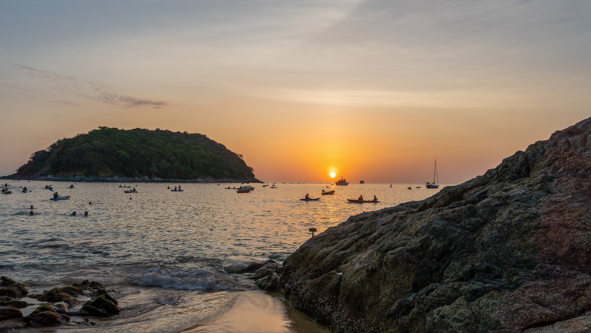 Wizard of Alt tweet media