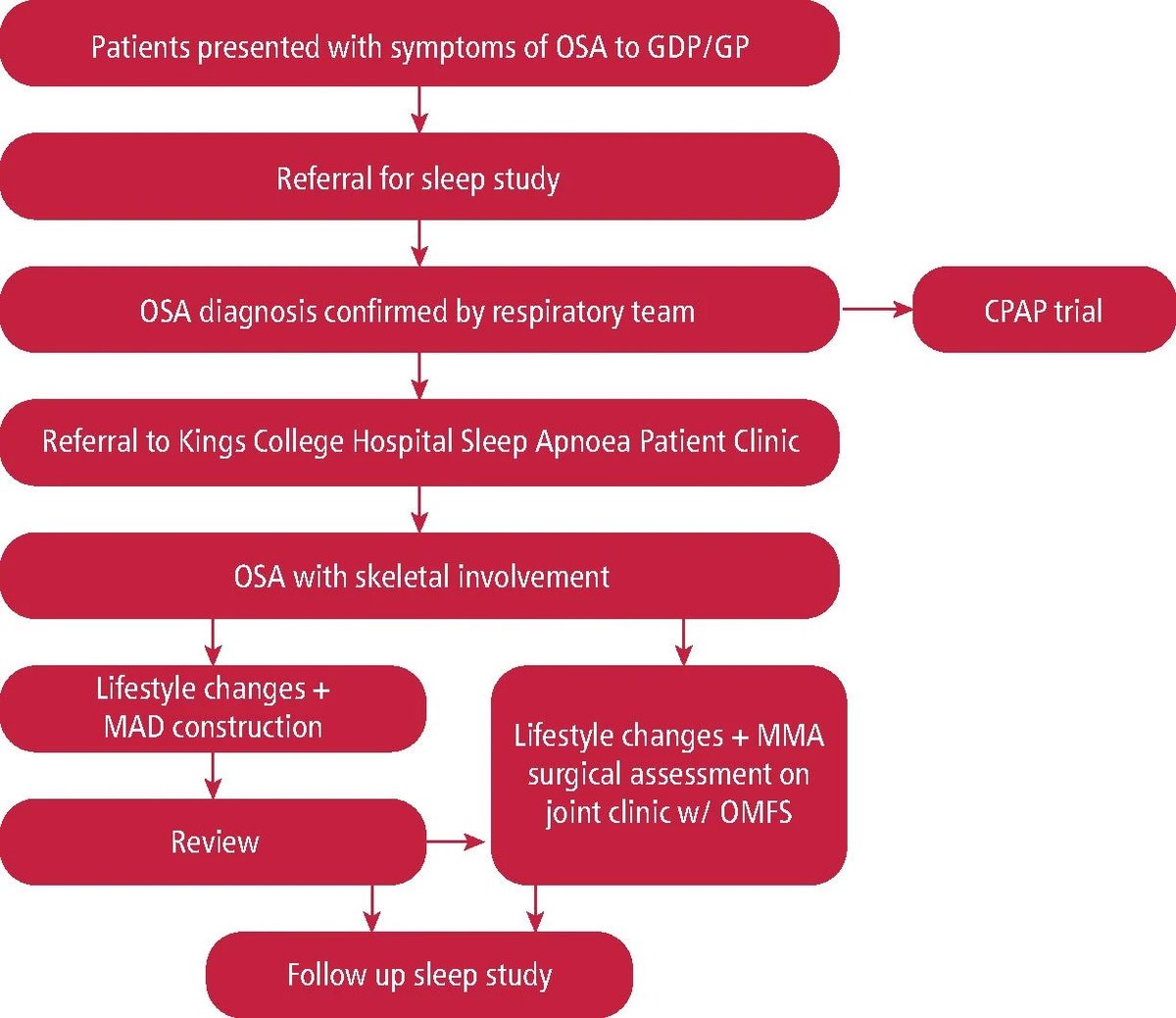 BDJ Portfolio tweet media