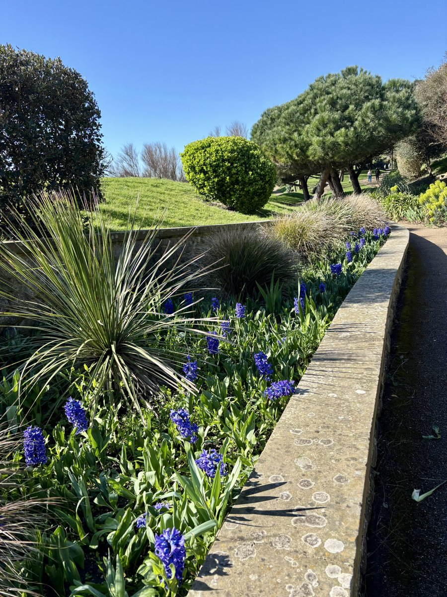 Patricia Young tweet media