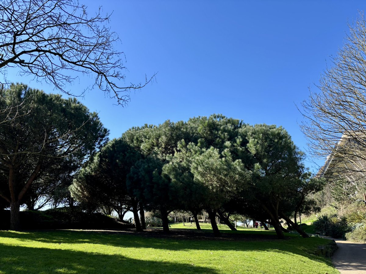 Patricia Young tweet media