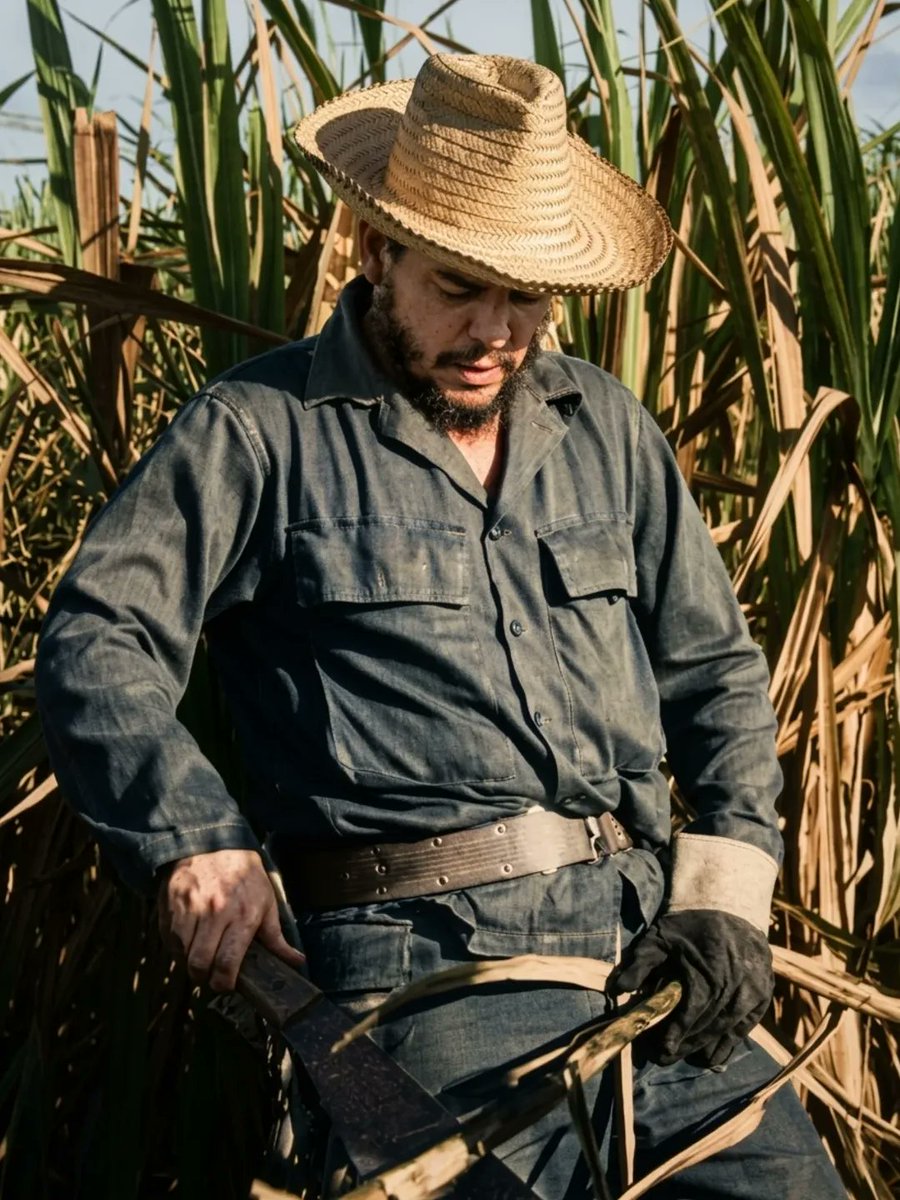 Antifa_Ultras tweet media