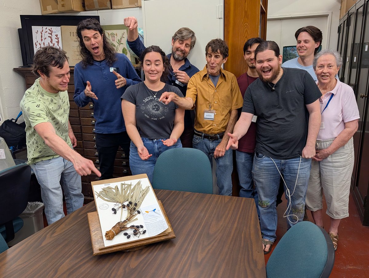 Florida Museum tweet media