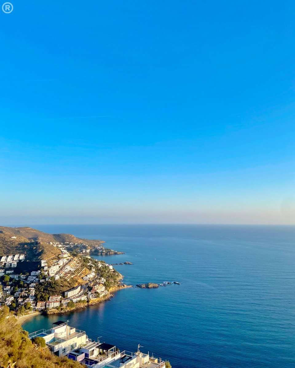 Visit Roses tweet media