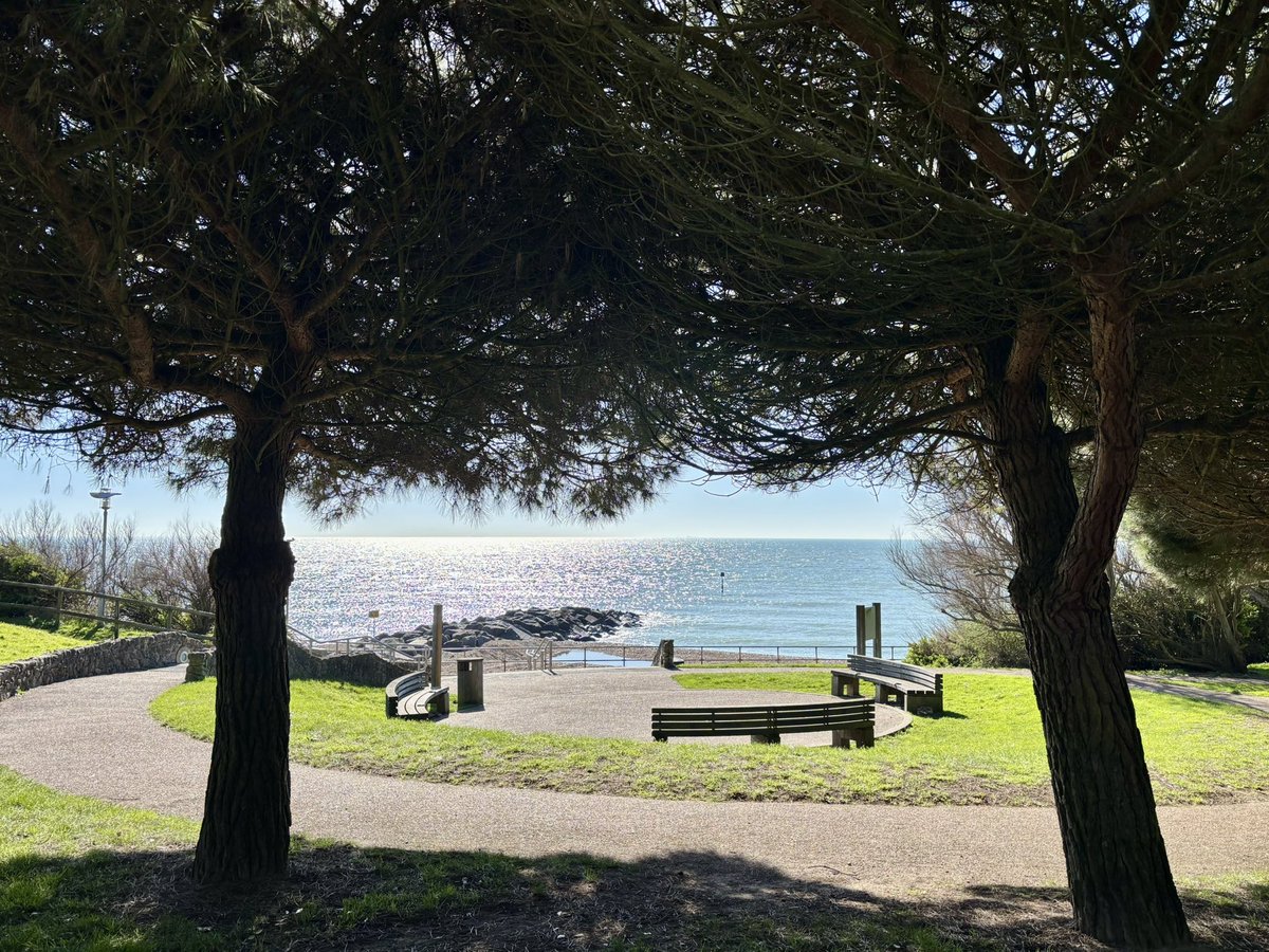 Patricia Young tweet media