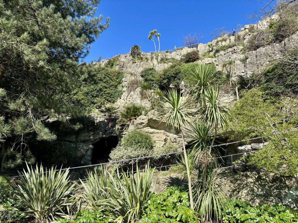 Patricia Young tweet media