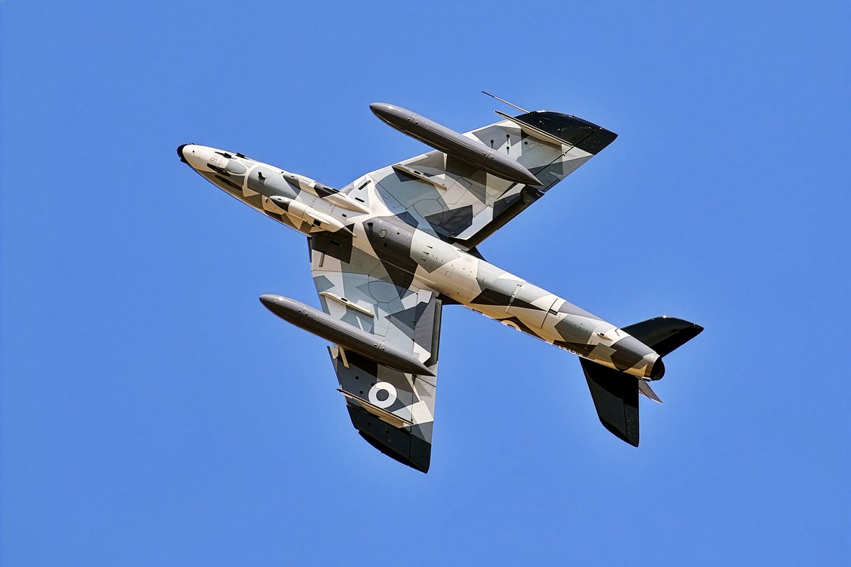 Tim Robinson tweet media