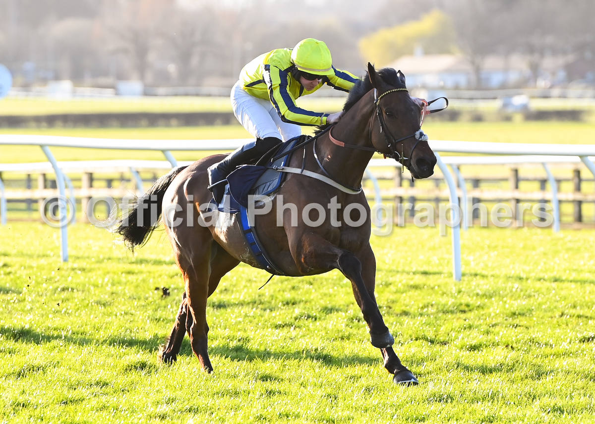 OfficialPhotographers tweet media