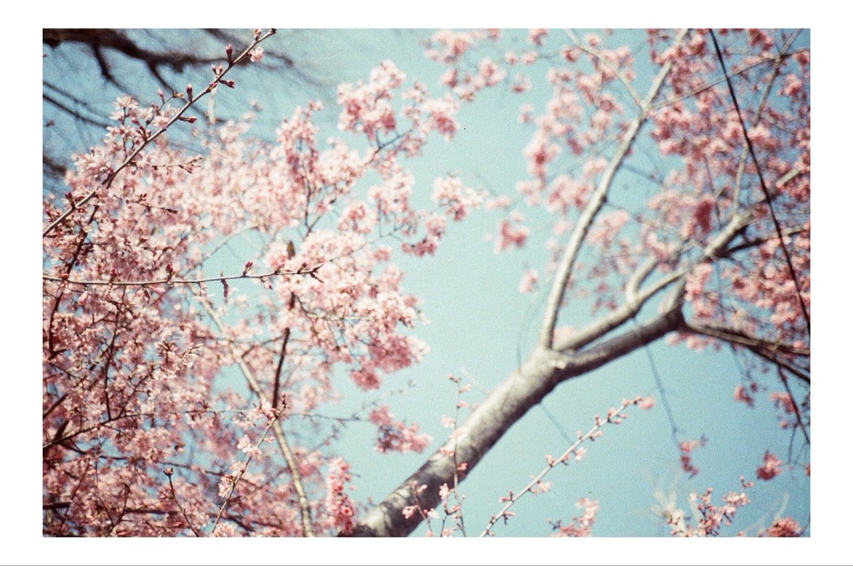 さち@写真垢 tweet media