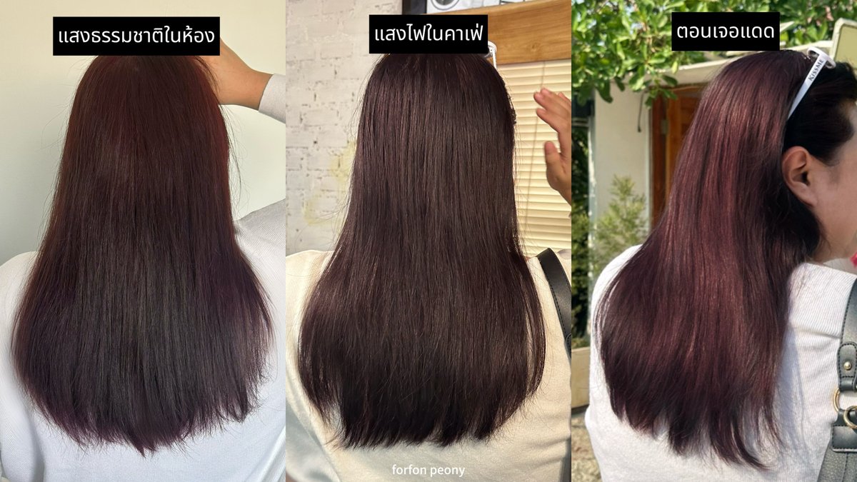 𝙁𝙊𝙍𝙁𝙊𝙉 𝙫𝙚𝙧. 𝙋𝙚𝙤𝙣𝙮 🪸🐟✨ tweet media