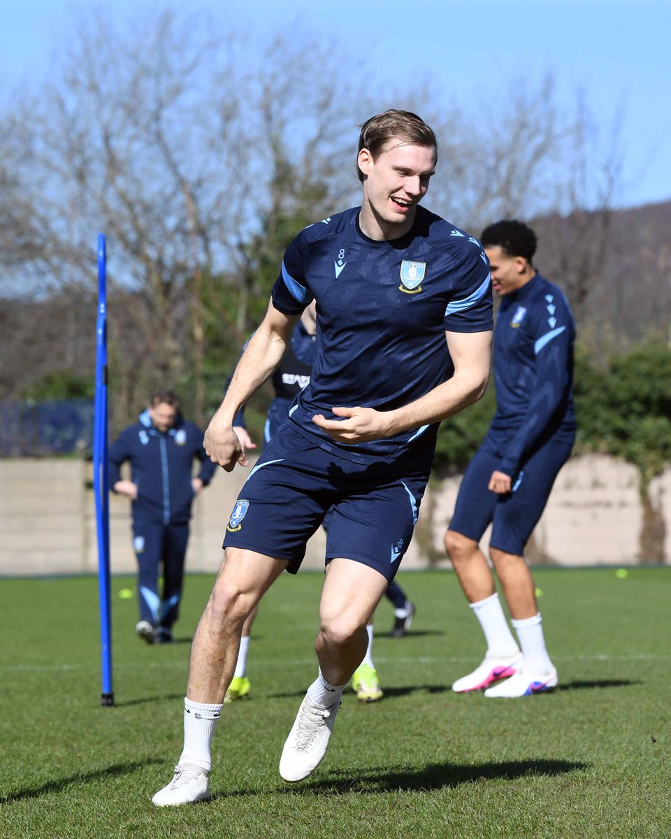Sheffield Wednesday tweet media