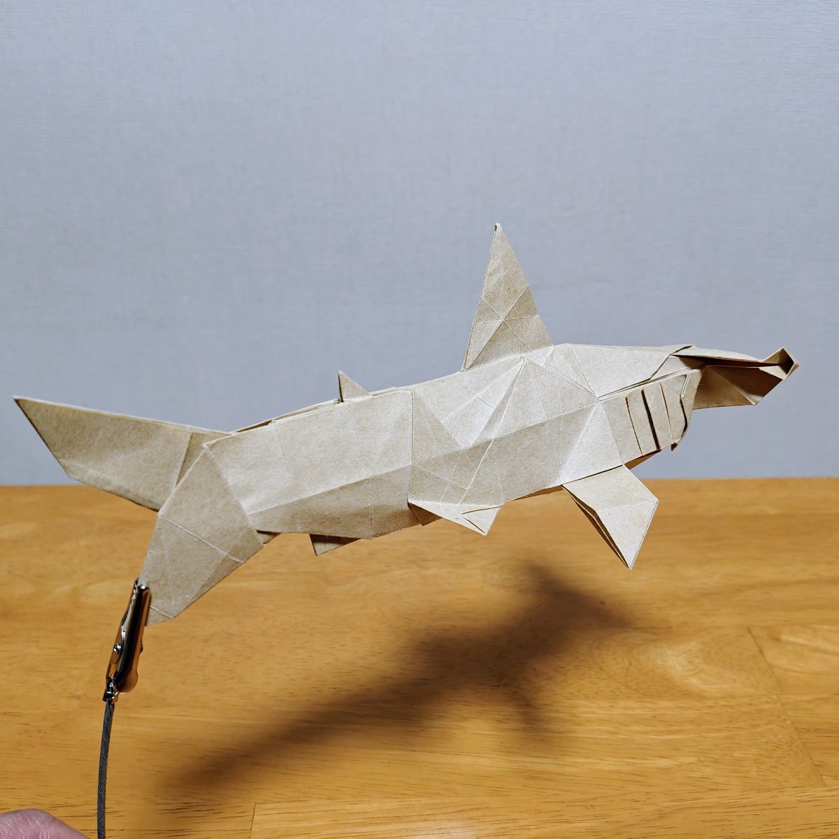 wa_origami's tweet photo. シュモクザメ https://t.co/0oqT48cfQF