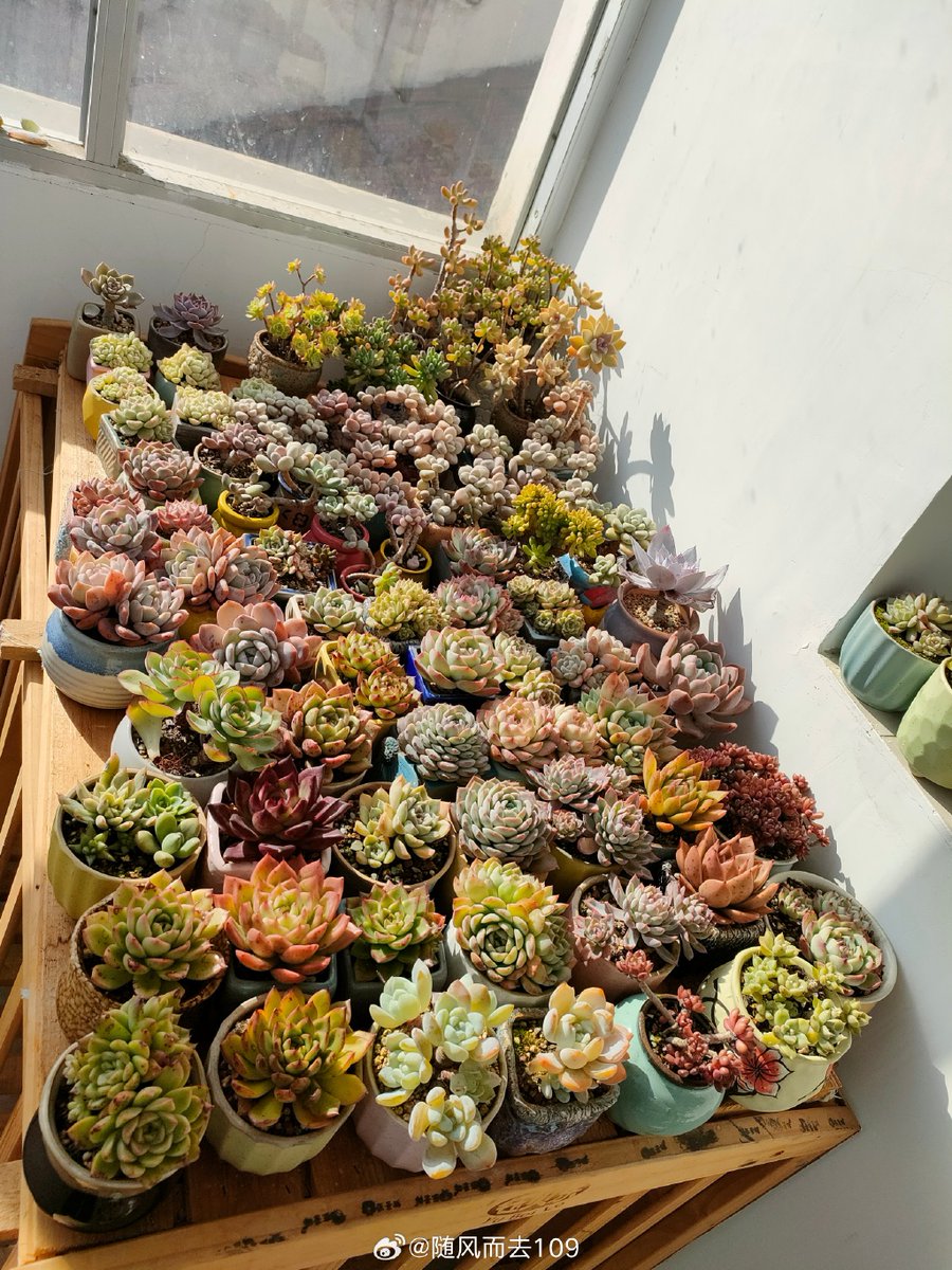 Theatre Roundtable tweet media