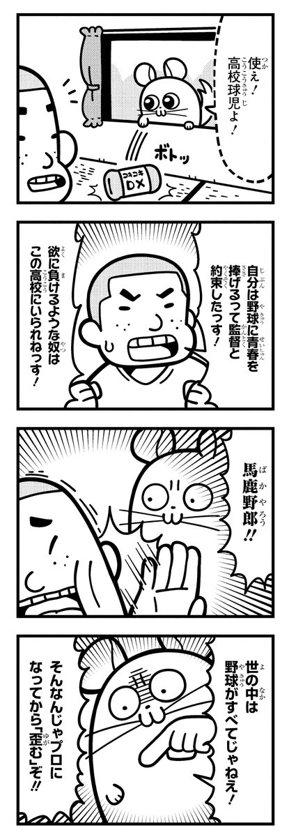 やっぱりチンチランド (@chinchilla_land) on X