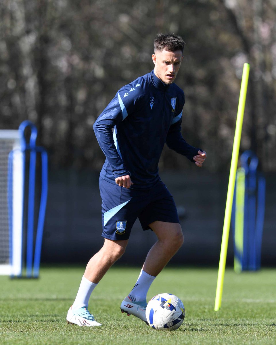 Sheffield Wednesday tweet media