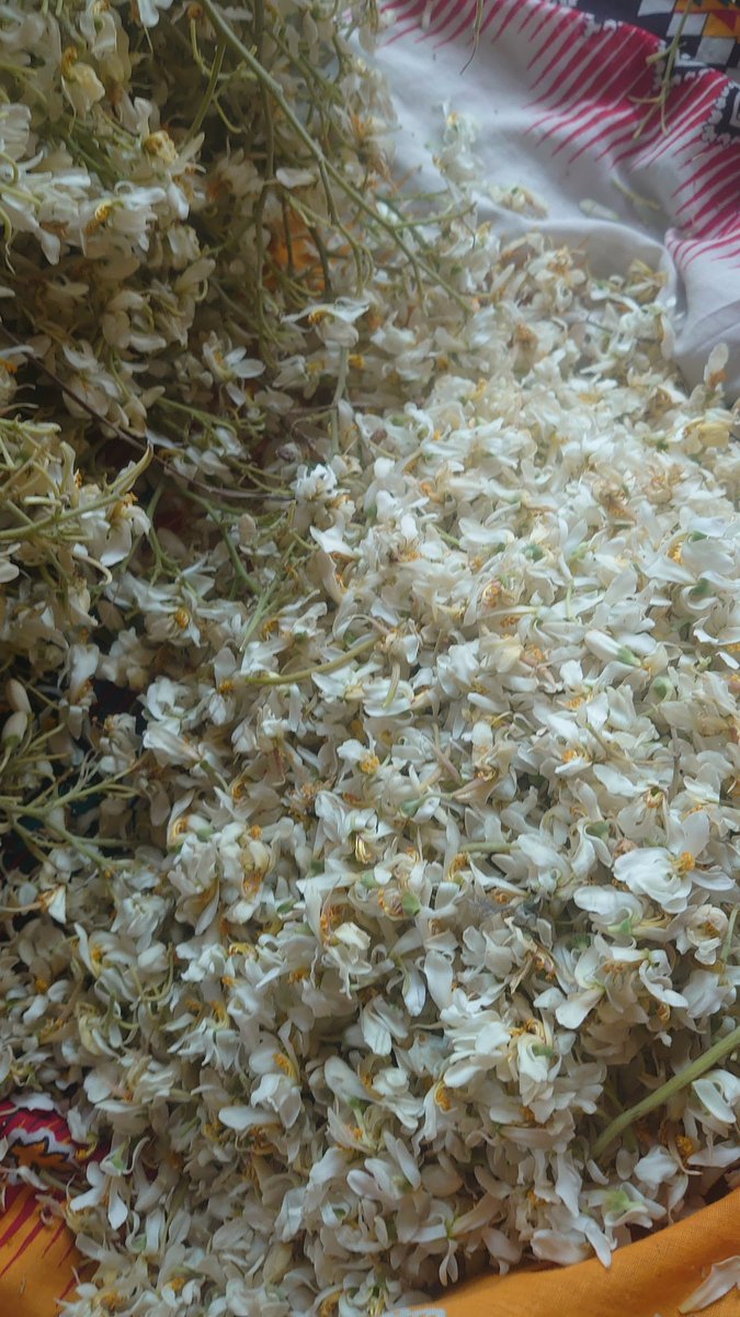 Sandra Hernandez tweet media