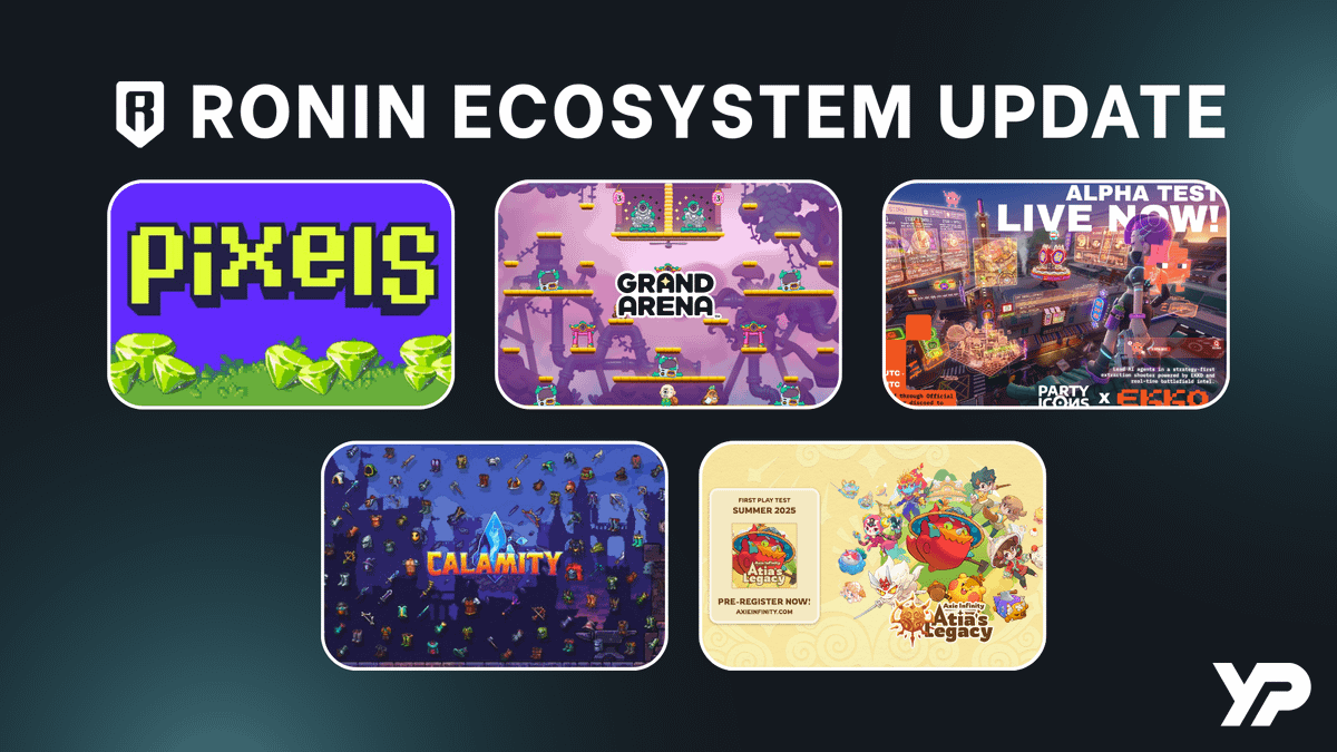 yellowpanther 黄豹 💎 tweet media