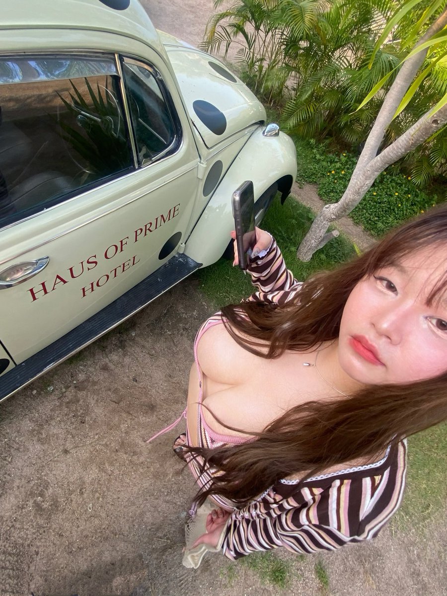 เฟินเองไม่ใช่เฟินแอ๊ง🥯 tweet media