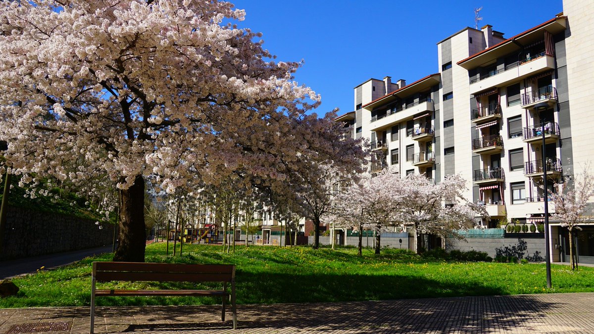 𝑀𝑒𝑡𝑒𝑜𝐴𝑛𝑑𝑜𝑎𝑖𝑛 (𝐼𝑚𝑎𝑛𝑜𝑙.𝐹) tweet media