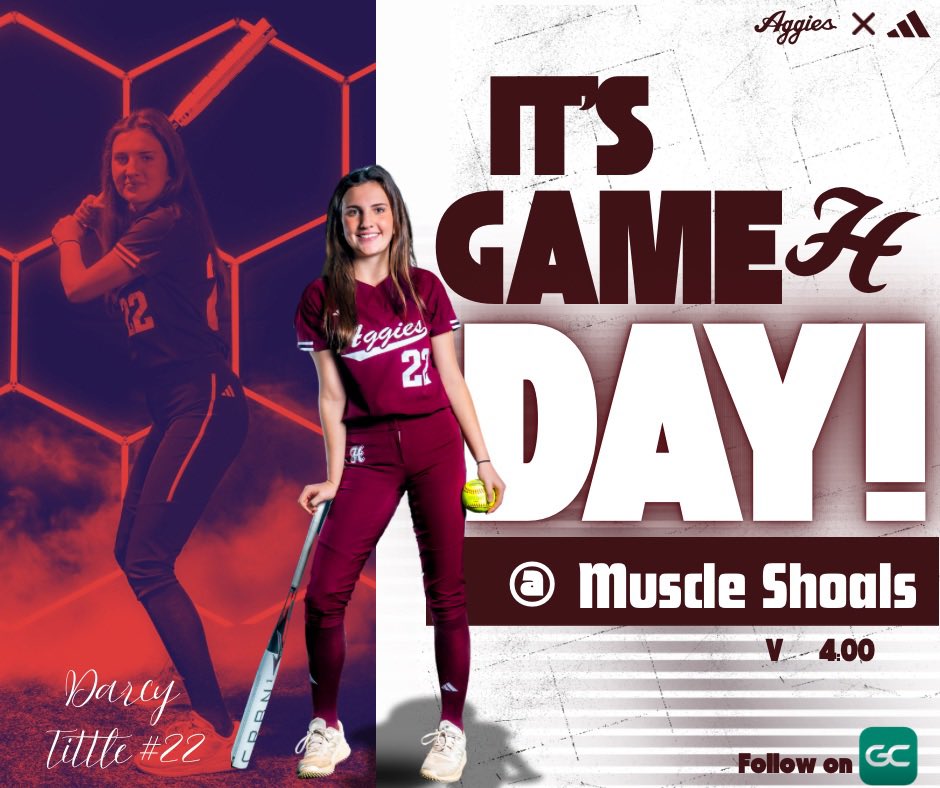 Hamilton Softball tweet media